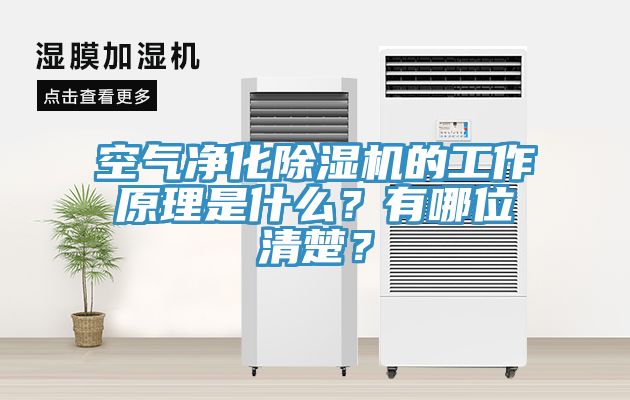 空氣凈化除濕機(jī)的工作原理是什么？有哪位清楚？