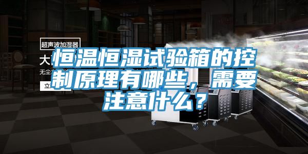 恒溫恒濕試驗(yàn)箱的控制原理有哪些，需要注意什么？