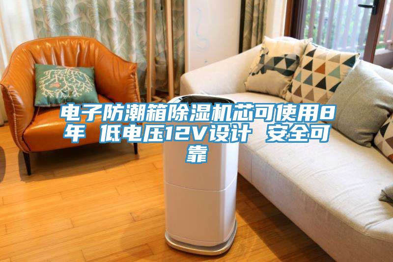 電子防潮箱除濕機(jī)芯可使用8年 低電壓12V設(shè)計 安全可靠