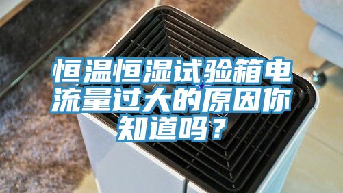 恒溫恒濕試驗箱電流量過大的原因你知道嗎？