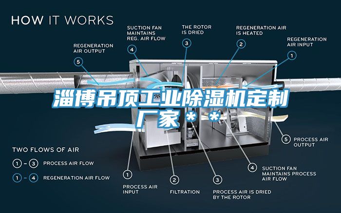 淄博吊頂工業(yè)除濕機(jī)定制 廠家＊＊