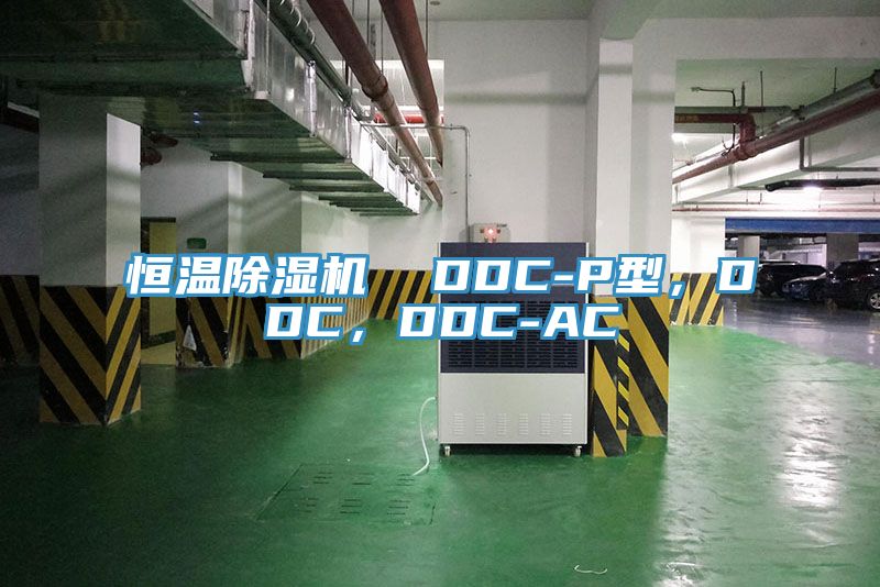 恒溫除濕機(jī)  DDC-P型，DDC，DDC-AC