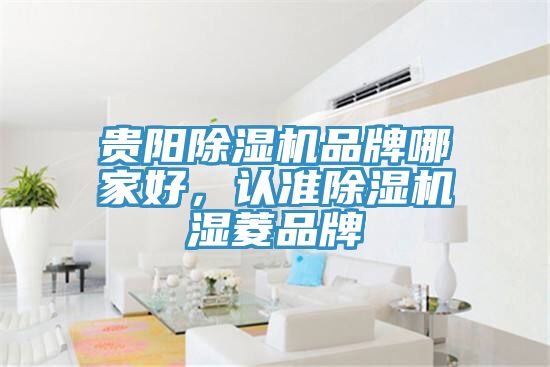 貴陽除濕機品牌哪家好，認準除濕機濕菱品牌