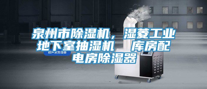 泉州市除濕機，濕菱工業(yè)地下室抽濕機  庫房配電房除濕器