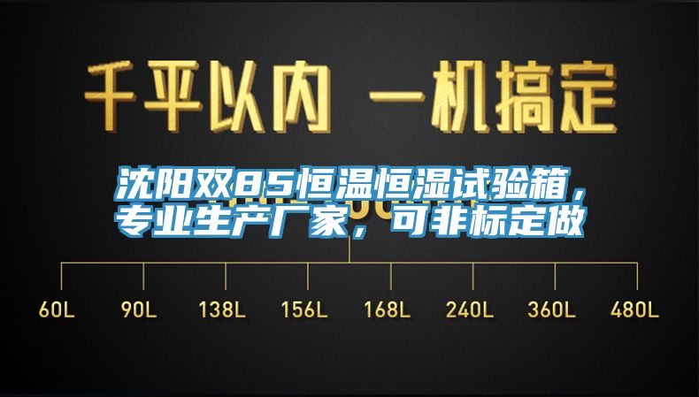 沈陽雙85恒溫恒濕試驗箱，專業(yè)生產(chǎn)廠家，可非標定做