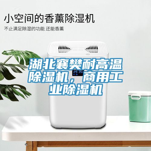 湖北襄樊耐高溫除濕機(jī)，商用工業(yè)除濕機(jī)