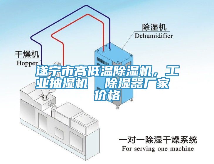 遂寧市高低溫除濕機，工業(yè)抽濕機  除濕器廠家 價格