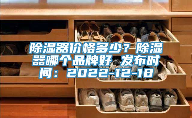 除濕器價(jià)格多少？除濕器哪個(gè)品牌好 發(fā)布時(shí)間：2022-12-18