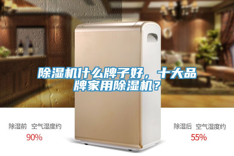 除濕機(jī)什么牌子好，十大品牌家用除濕機(jī)？