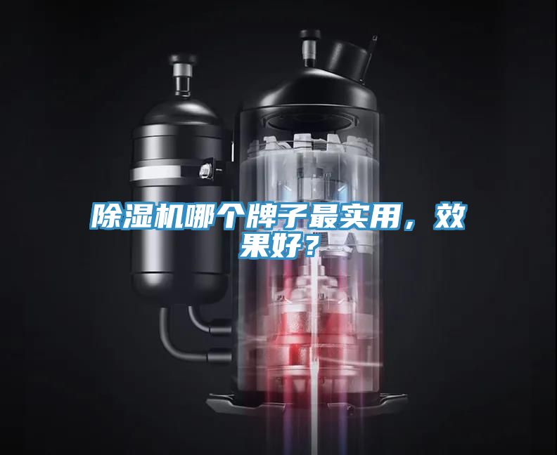 除濕機哪個牌子最實用，效果好？