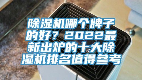 除濕機哪個牌子的好？2022最新出爐的十大除濕機排名值得參考