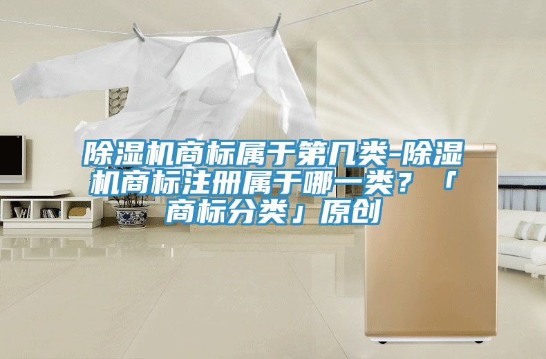 除濕機商標屬于第幾類-除濕機商標注冊屬于哪一類？「商標分類」原創(chuàng)