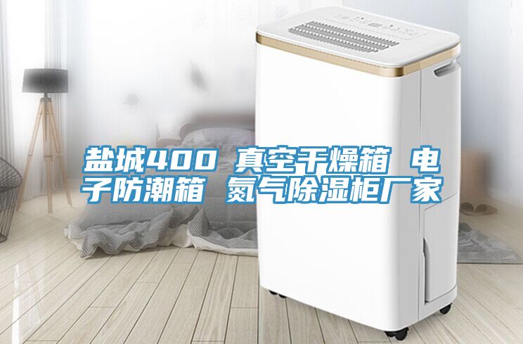 鹽城400℃真空干燥箱 電子防潮箱 氮?dú)獬凉窆駨S家