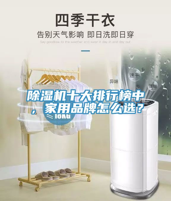 除濕機(jī)十大排行榜中，家用品牌怎么選？