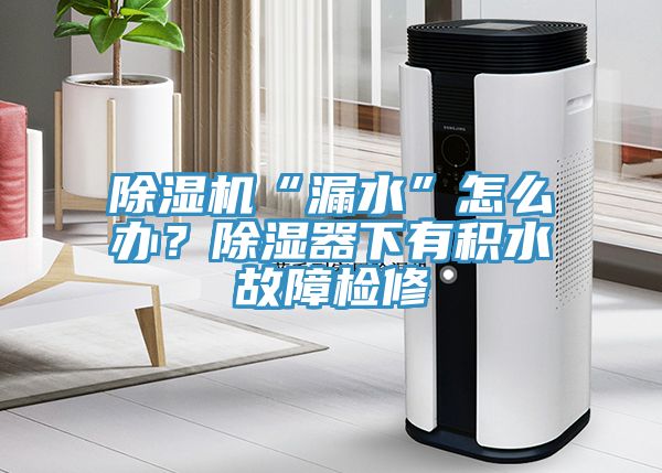 除濕機(jī)“漏水”怎么辦？除濕器下有積水故障檢修