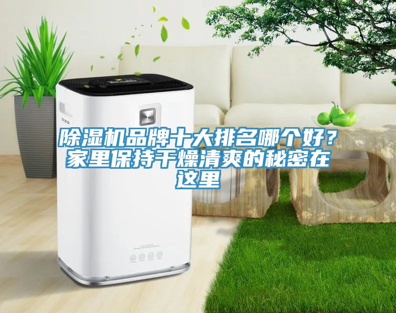 除濕機(jī)品牌十大排名哪個(gè)好？家里保持干燥清爽的秘密在這里