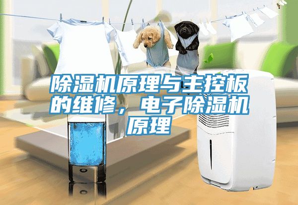 除濕機(jī)原理與主控板的維修，電子除濕機(jī)原理