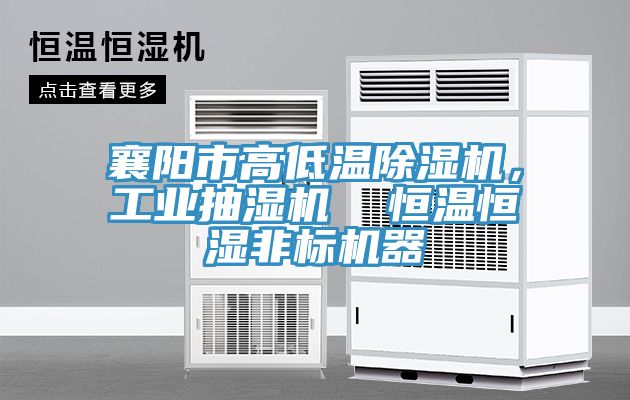 襄陽市高低溫除濕機，工業(yè)抽濕機  恒溫恒濕非標(biāo)機器