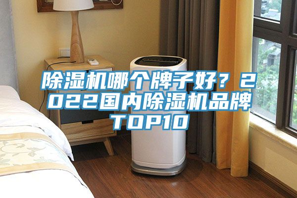 除濕機哪個牌子好？2022國內(nèi)除濕機品牌TOP10