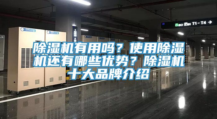 除濕機有用嗎？使用除濕機還有哪些優(yōu)勢？除濕機十大品牌介紹