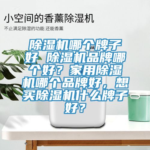 除濕機(jī)哪個牌子好 除濕機(jī)品牌哪個好？家用除濕機(jī)哪個品牌好，想買除濕機(jī)什么牌子好？