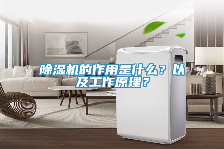 除濕機(jī)的作用是什么？以及工作原理？