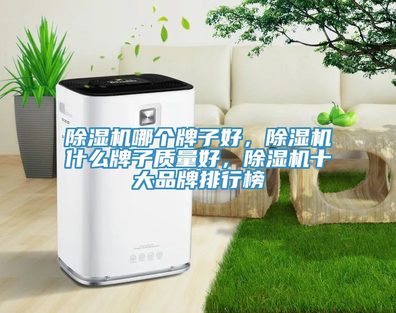 除濕機哪個牌子好，除濕機什么牌子質(zhì)量好，除濕機十大品牌排行榜