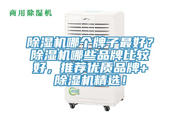 除濕機(jī)哪個(gè)牌子最好？除濕機(jī)哪些品牌比較好，推薦優(yōu)質(zhì)品牌+除濕機(jī)精選！