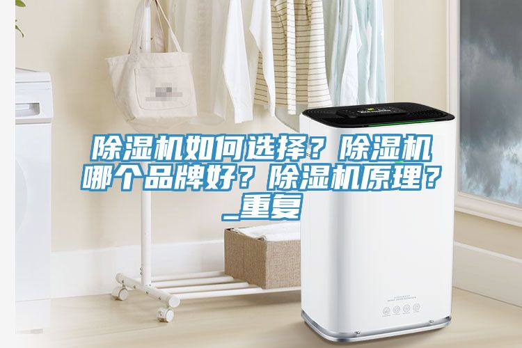 除濕機如何選擇？除濕機哪個品牌好？除濕機原理？_重復(fù)