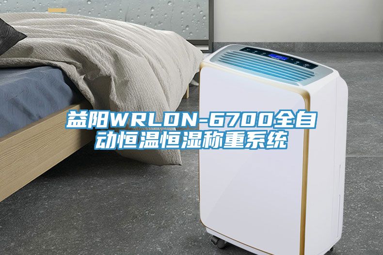 益陽WRLDN-6700全自動(dòng)恒溫恒濕稱重系統(tǒng)