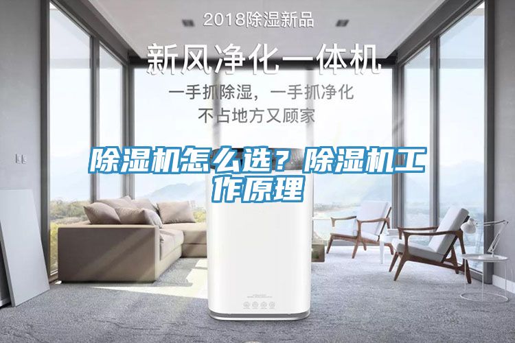 除濕機怎么選？除濕機工作原理