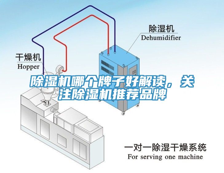 除濕機哪個牌子好解讀，關注除濕機推薦品牌